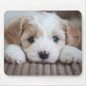 Kutest Baby Animals | Cavashon Puppy Muismat (Voorkant)