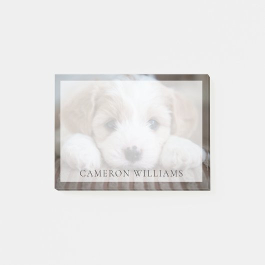 Kutest Baby Animals | Cavashon Puppy Post-it® Notes (Voorkant)