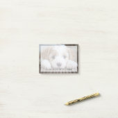 Kutest Baby Animals | Cavashon Puppy Post-it® Notes (Op bureau)