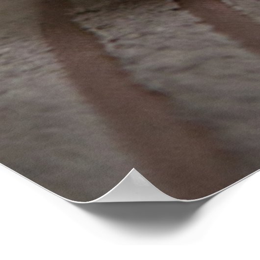 Kutest Baby Animals | Cavashon Puppy Poster (Hoek)