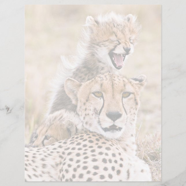Kutest Baby Animals | Cheetah Cat & Cub (Voorkant)