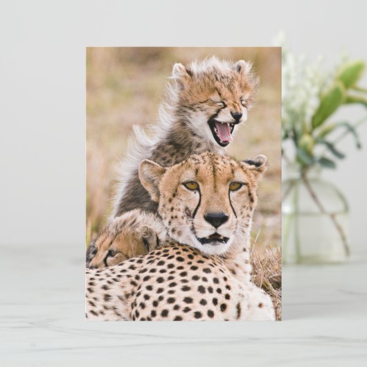 Kutest Baby Animals | Cheetah Cat & Cub Bedankkaart (Staand voorkant)