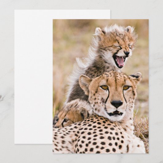Kutest Baby Animals | Cheetah Cat & Cub Bedankkaart (Voorkant / Achterkant)