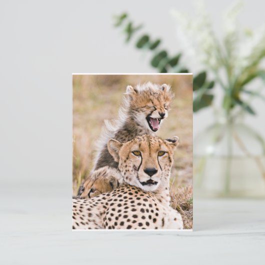 Kutest Baby Animals | Cheetah Cat & Cub Briefkaart (Staand voorkant)