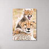 Kutest Baby Animals | Cheetah Cat & Cub Canvas Afdruk (Voorkant)