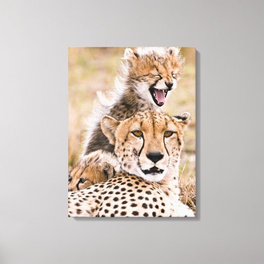Kutest Baby Animals | Cheetah Cat & Cub Canvas Afdruk (Voorkant)