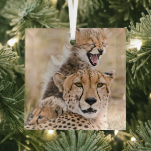 Kutest Baby Animals   Cheetah Cat & Cub Glas Ornament