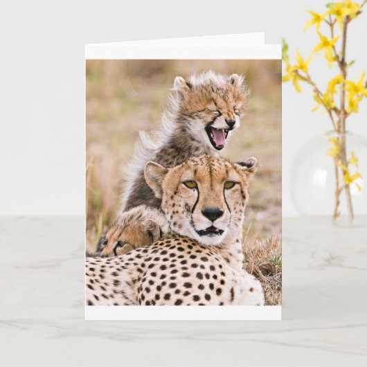 Kutest Baby Animals | Cheetah Cat & Cub Kaart (Gele Bloem)