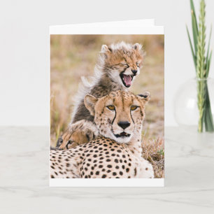 Kutest Baby Animals   Cheetah Cat & Cub Kaart