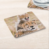 Kutest Baby Animals | Cheetah Cat & Cub Kartonnen Onderzetters (Schuin)