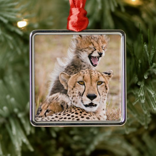 Kutest Baby Animals | Cheetah Cat & Cub Metalen Ornament (Boom)