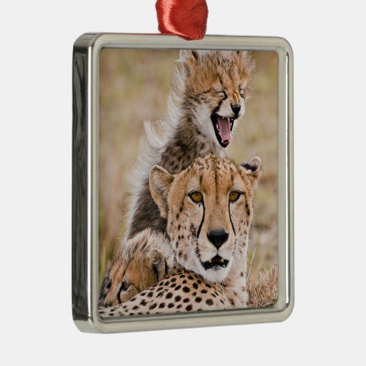 Kutest Baby Animals | Cheetah Cat & Cub Metalen Ornament (Rechts)