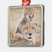 Kutest Baby Animals | Cheetah Cat & Cub Metalen Ornament (Links)