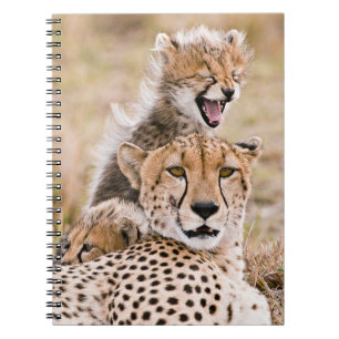 Kutest Baby Animals   Cheetah Cat & Cub Notitieboek