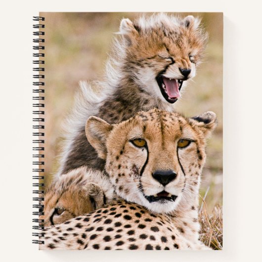 Kutest Baby Animals | Cheetah Cat & Cub Notitieboek (Voorkant)