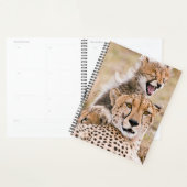 Kutest Baby Animals | Cheetah Cat & Cub Planner (Display)