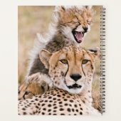 Kutest Baby Animals | Cheetah Cat & Cub Planner (Achterkant)