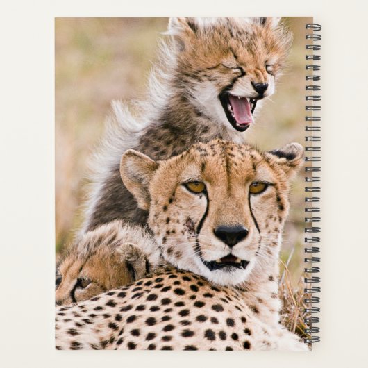 Kutest Baby Animals | Cheetah Cat & Cub Planner (Achterkant)