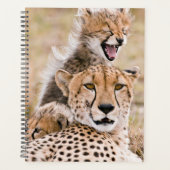 Kutest Baby Animals | Cheetah Cat & Cub Planner (Voorkant)
