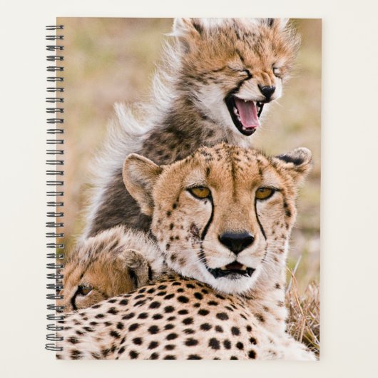 Kutest Baby Animals | Cheetah Cat & Cub Planner (Voorkant)