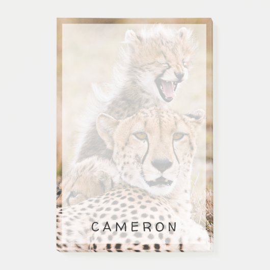Kutest Baby Animals | Cheetah Cat & Cub Post-it® Notes (Voorkant)
