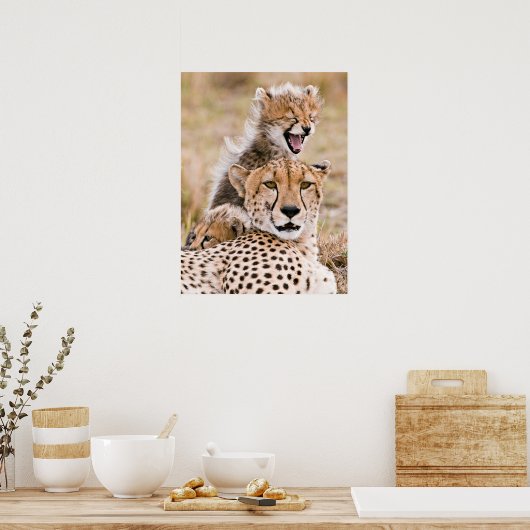 Kutest Baby Animals | Cheetah Cat & Cub Poster (Keuken)