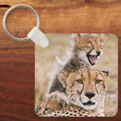 Kutest Baby Animals | Cheetah Cat & Cub Sleutelhanger (Voorkant)