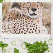 Kutest Baby Animals | Cheetah Cat & Cub Theedoek (Gevouwen)