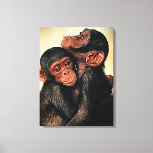 Kutest Baby Animals | Chimpansee Hug Canvas Afdruk (Voorkant)