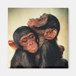 Kutest Baby Animals   Chimpansee Hug Magneet