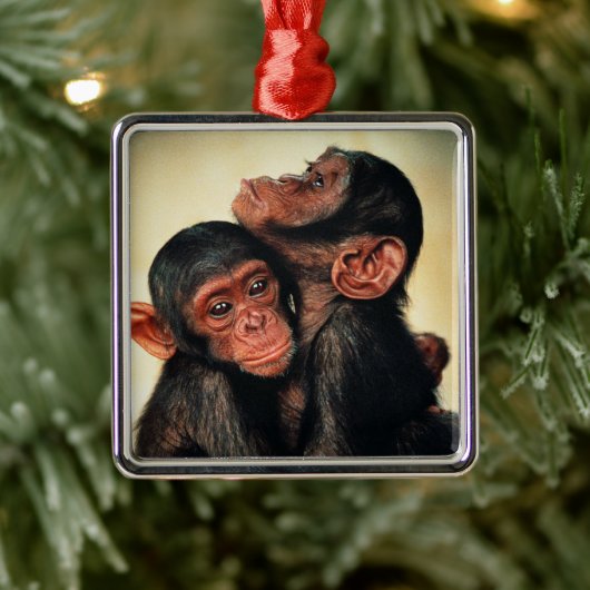 Kutest Baby Animals | Chimpansee Hug Metalen Ornament (Boom)