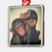 Kutest Baby Animals | Chimpansee Hug Metalen Ornament (Links)