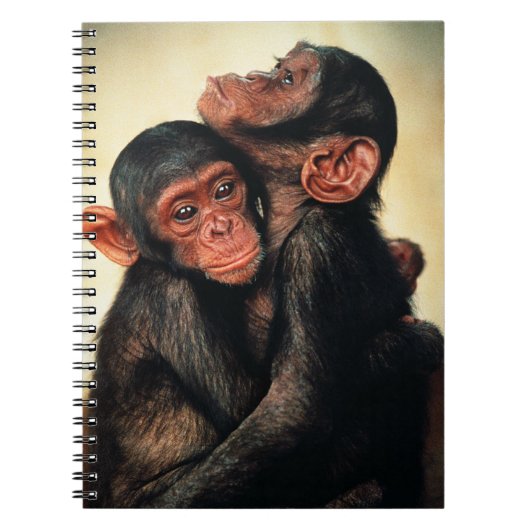 Kutest Baby Animals | Chimpansee Hug Notitieboek (Voorkant)
