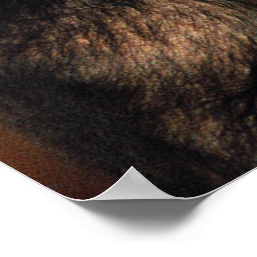 Kutest Baby Animals | Chimpansee Hug Poster (Hoek)