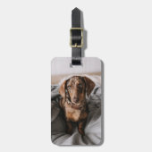 Kutest Baby Animals | Chocolade Dapple Dachshund Bagagelabel (Voorkant verticaal)