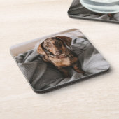 Kutest Baby Animals | Chocolade Dapple Dachshund Bier Onderzetter (Linkerzijde)