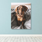 Kutest Baby Animals | Chocolade Dapple Dachshund Canvas Afdruk (Insitu (Houten vloer))