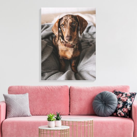 Kutest Baby Animals | Chocolade Dapple Dachshund Canvas Afdruk (Insitu (Woonkamer))