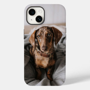 Kutest Baby Animals   Chocolade Dapple Dachshund Case-Mate iPhone 14 Hoesje