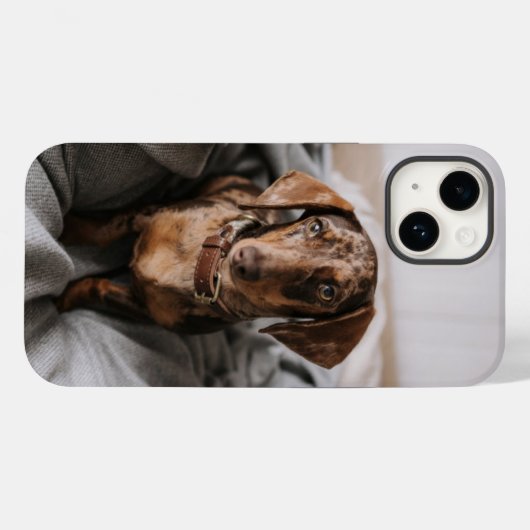 Kutest Baby Animals | Chocolade Dapple Dachshund Case-Mate iPhone Case (Achterkant (horizontaal))