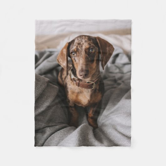 Kutest Baby Animals | Chocolade Dapple Dachshund Fleece Deken (Voorkant)