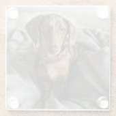 Kutest Baby Animals | Chocolade Dapple Dachshund Glazen Onderzetter (Achterkant)
