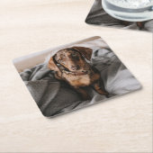 Kutest Baby Animals | Chocolade Dapple Dachshund Kartonnen Onderzetters (Schuin)