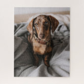 Kutest Baby Animals | Chocolade Dapple Dachshund Legpuzzel (Verticaal)
