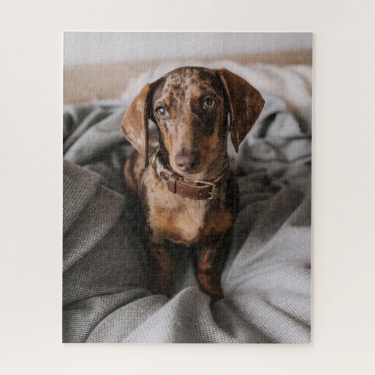 Kutest Baby Animals | Chocolade Dapple Dachshund Legpuzzel (Verticaal)