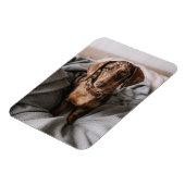 Kutest Baby Animals | Chocolade Dapple Dachshund Magneet (Linkerzijde)