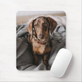 Kutest Baby Animals | Chocolade Dapple Dachshund Muismat (Met muis)