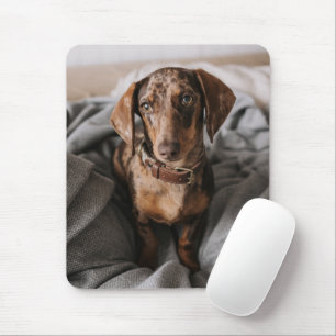 Kutest Baby Animals Chocolade Dapple Dachshund Muismat