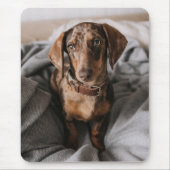 Kutest Baby Animals | Chocolade Dapple Dachshund Muismat (Voorkant)