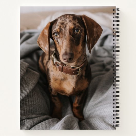 Kutest Baby Animals | Chocolade Dapple Dachshund Notitieboek (Achterkant)